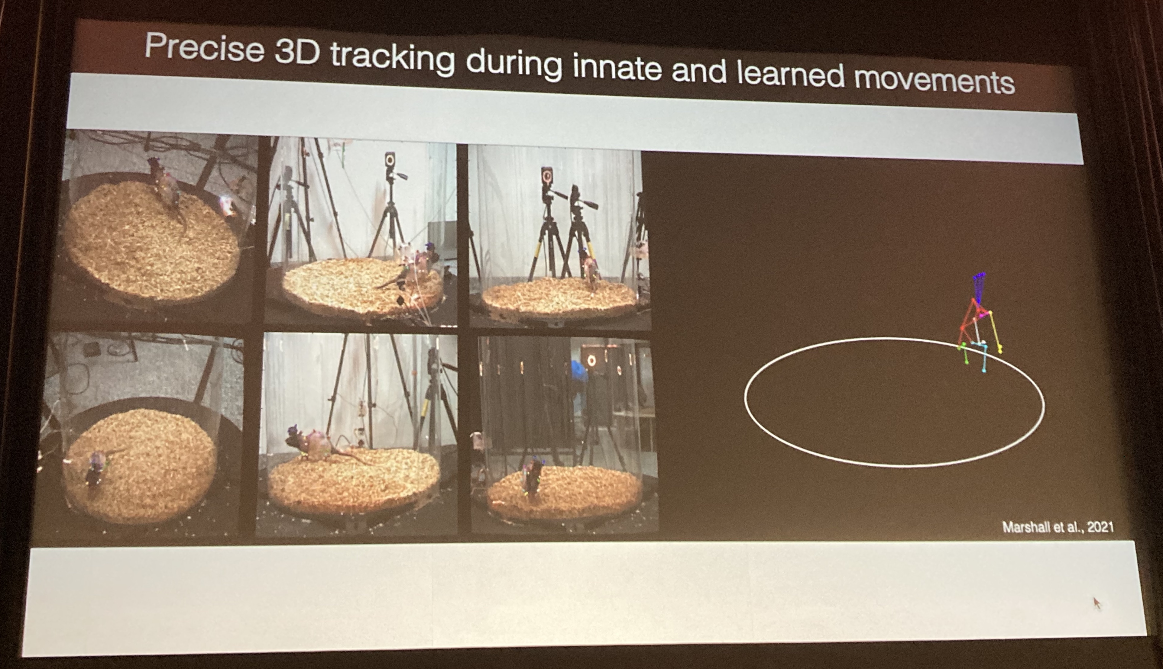 Sabera Talukder Trends in Computational Neuroscience: Cosyne 2022 - Behavior 3D Tracking