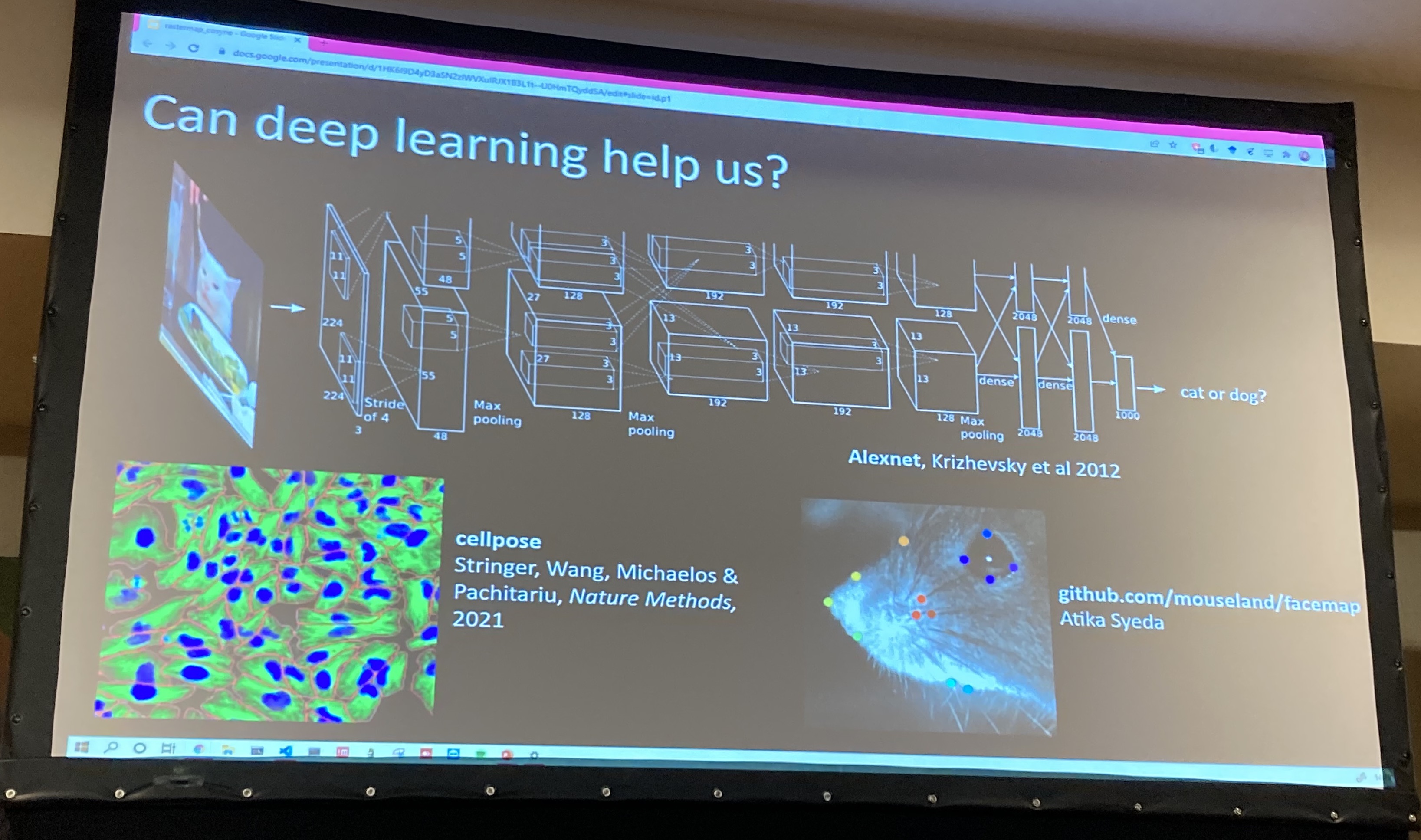 Sabera Talukder Trends in Computational Neuroscience: Cosyne 2022 - mouse cortex