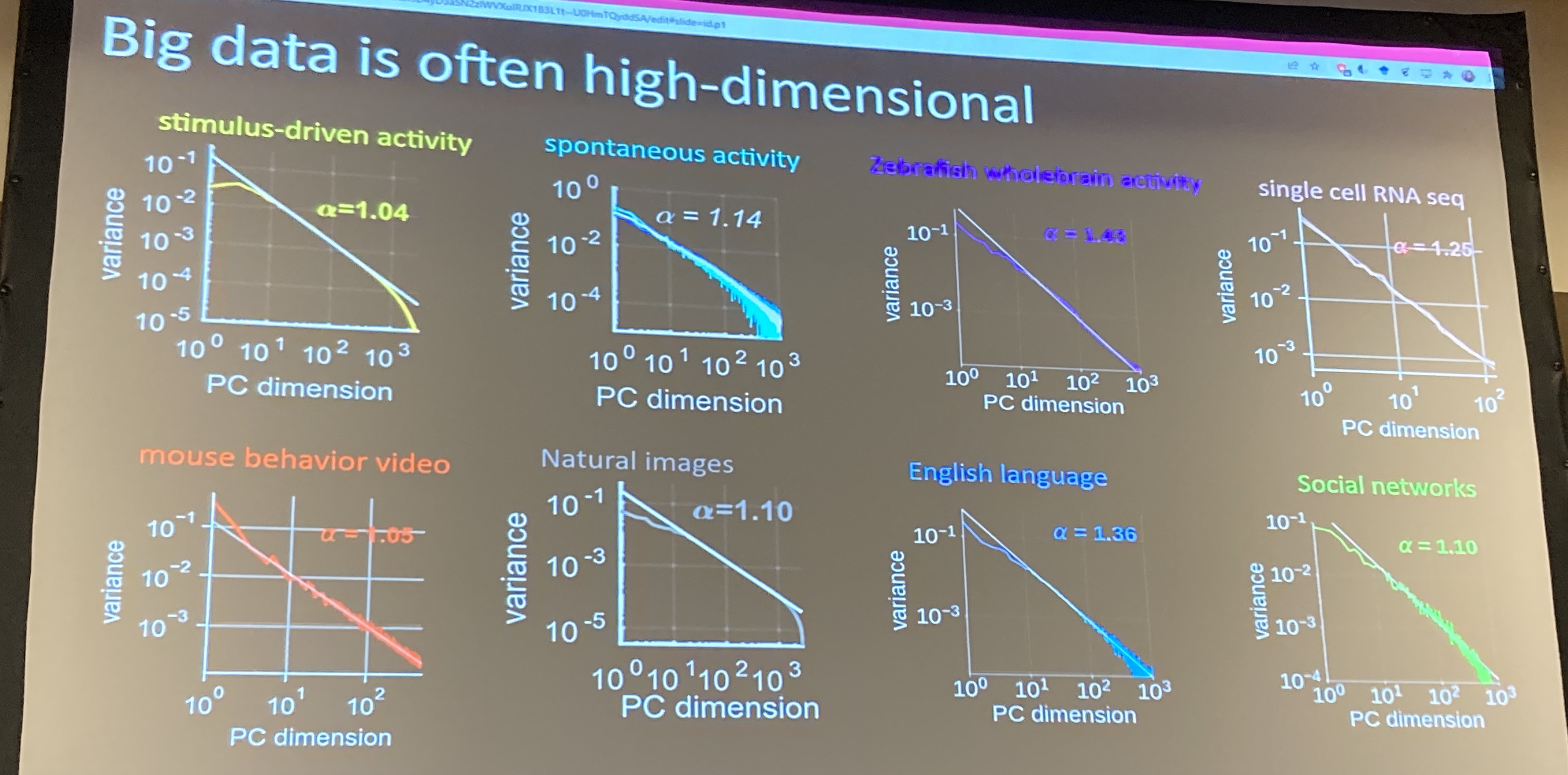 Sabera Talukder Trends in Computational Neuroscience: Cosyne 2022 - Dim. Red. Big Data is High Dimensional