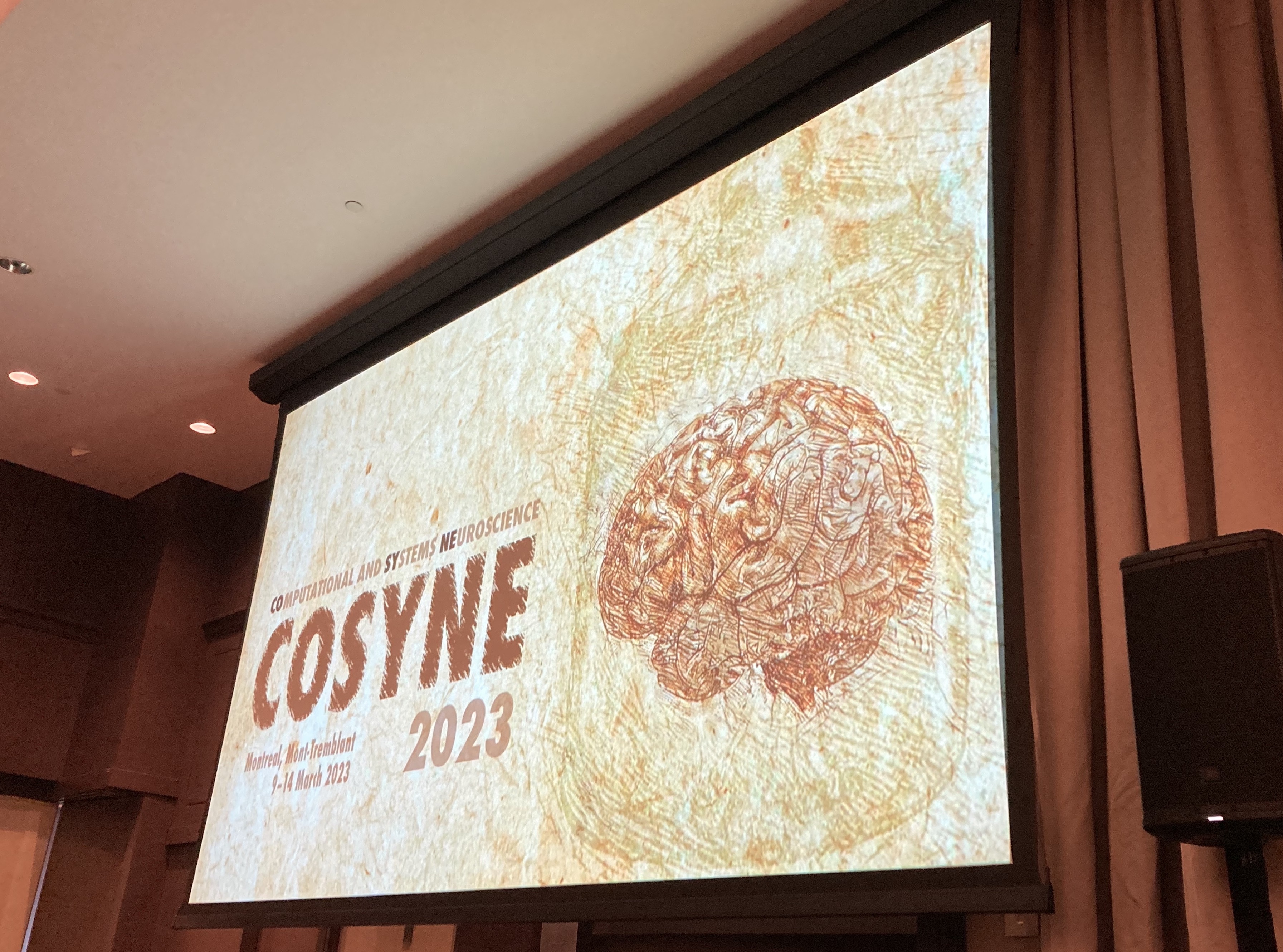 Sabera Talukder Trends in Computational Neuroscience: Cosyne 2023
