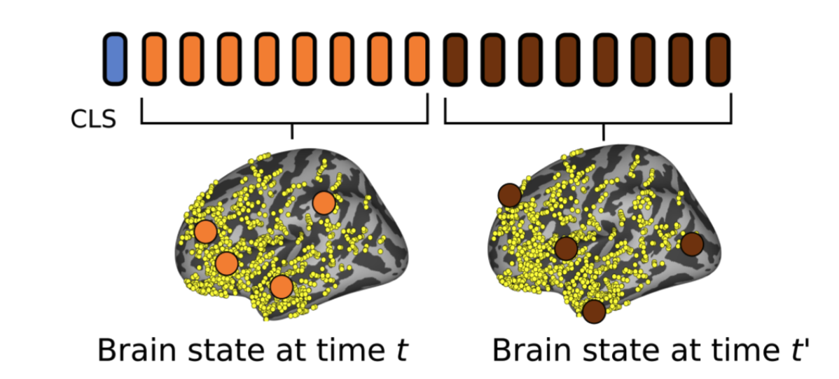 Sabera Talukder GPOPULATION TRANSFORMER: LEARNING POPULATION LEVEL REPRESENTATIONS OF NEURAL ACTIVITY iCLR 2025