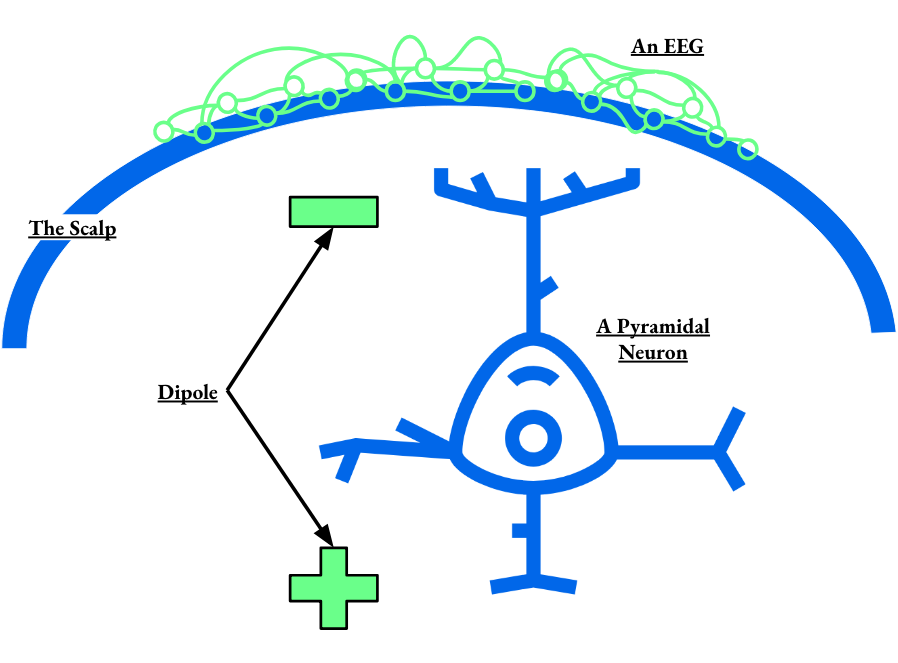 categories of neural prostheses: central nervous system, or peripheral nervous system, invasive or non-invasive. Where brain machine interfaces, brain computer interfaces, and neural prosthetics fall