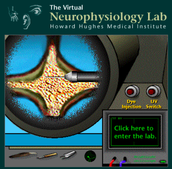 categories of neural prostheses: central nervous system, or peripheral nervous system, invasive or non-invasive. Where brain machine interfaces, brain computer interfaces, and neural prosthetics fall