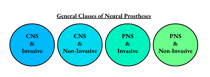 categories of neural prostheses: central nervous system, or peripheral nervous system, invasive or non-invasive. Where brain machine interfaces, brain computer interfaces, and neural prosthetics fall