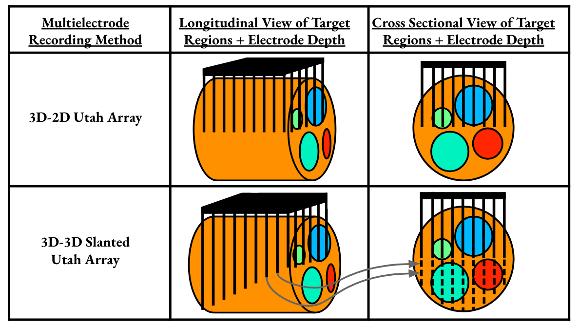 categories of neural prostheses: central nervous system, or peripheral nervous system, invasive or non-invasive. Where brain machine interfaces, brain computer interfaces, and neural prosthetics fall