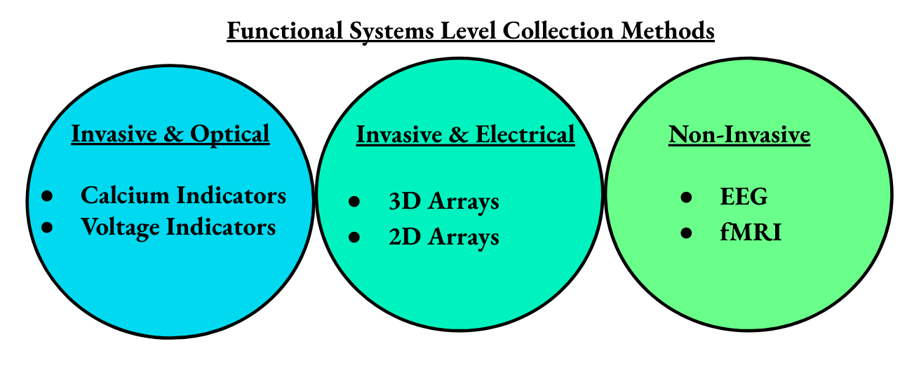 categories of neural prostheses: central nervous system, or peripheral nervous system, invasive or non-invasive. Where brain machine interfaces, brain computer interfaces, and neural prosthetics fall