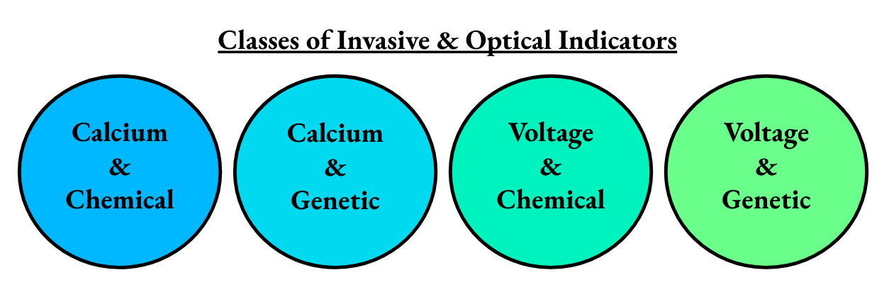 categories of neural prostheses: central nervous system, or peripheral nervous system, invasive or non-invasive. Where brain machine interfaces, brain computer interfaces, and neural prosthetics fall