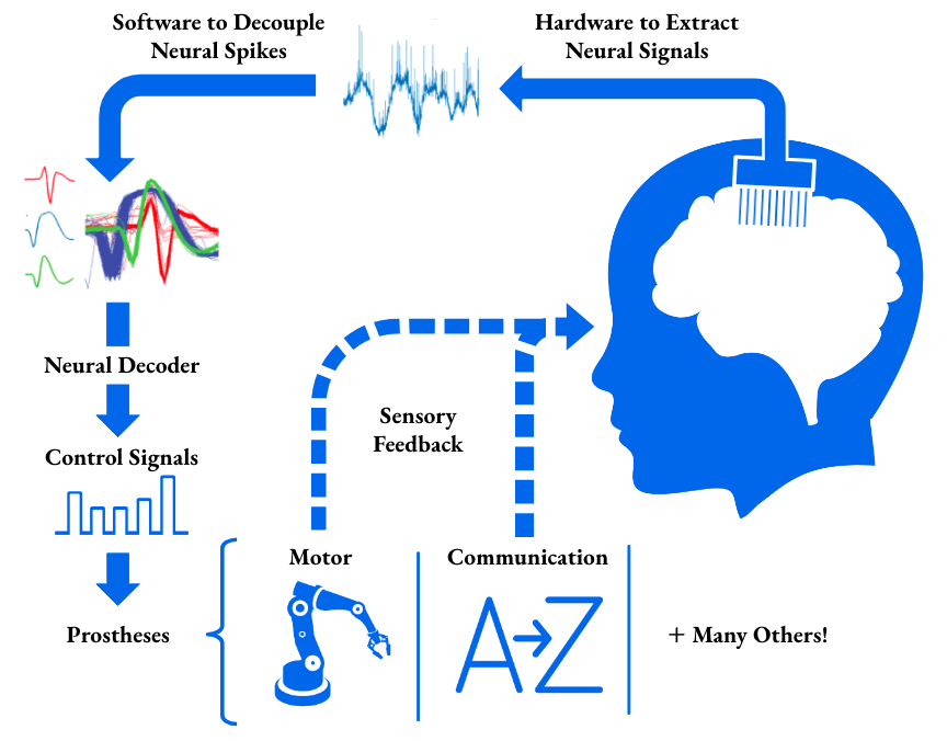 flow flow through a general neural prostheses, aka brain machine interface, brain computer interface, and neural prosthetic 